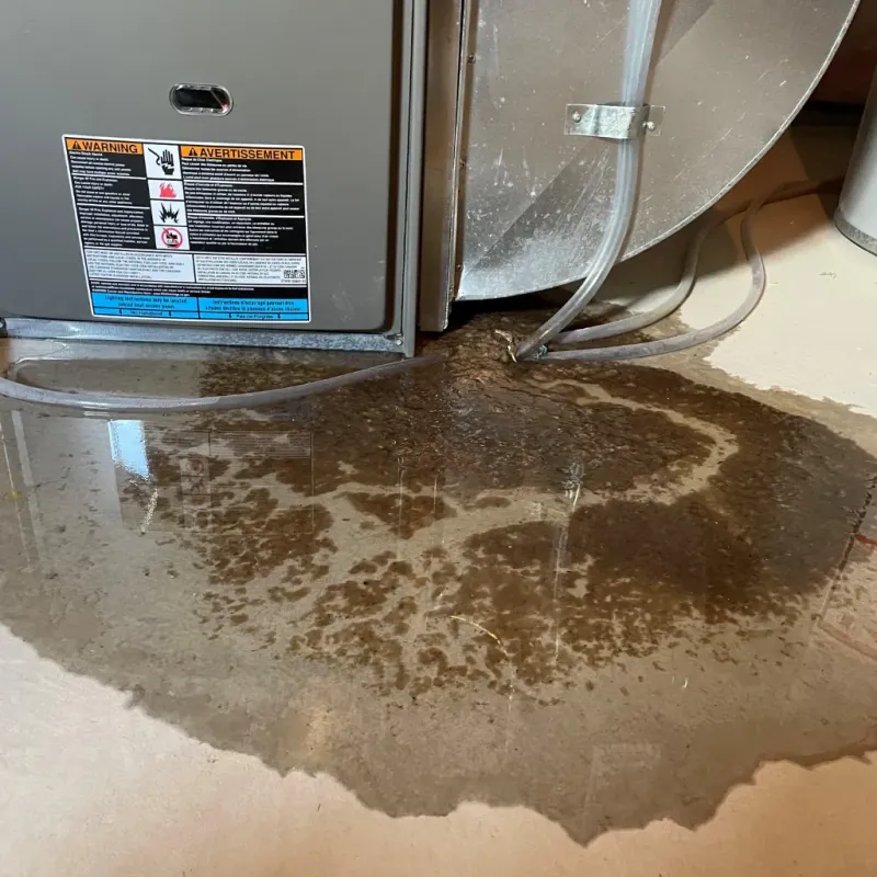 Appliance Leak Cleanup in Moody, AL