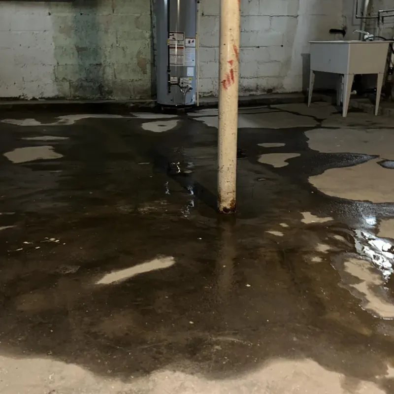Emergency Water Extraction And Removal in Moody, AL